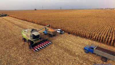 L'Ukraine a déjà exporté 19,2 millions de tonnes de céréales